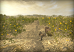 Fruit Orchard