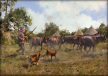Cattle Pound