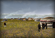 Tent Camp