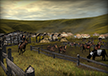 Cattle Pens