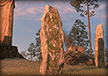 Serpent Stone
