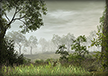 Sacred Ground