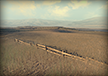 Wheat Fields