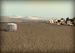 Wheat Querns
