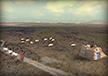 Sheep Flock