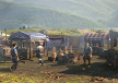 Market Stalls