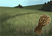 Fields