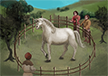 Horse Show