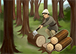 Woodcutter