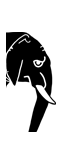 Auxiliary African Elephants